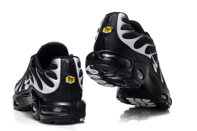 tn reqin 2012 la depollution requi tn course a pied chaussure colore